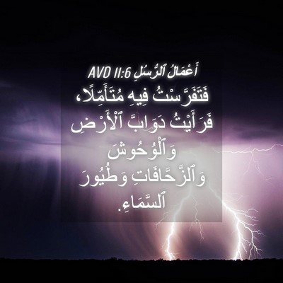 Picture 04 - أَعْمَالُ ٱلرُّسُلِ 11:6 AVD - فَتَفَرَّسْتُ فِيهِ - Bible Verse Picture
