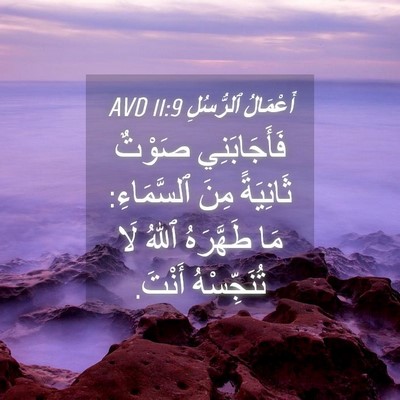 Picture 04 - أَعْمَالُ ٱلرُّسُلِ 11:9 AVD - فَأَجَابَنِي صَوْتٌ - Bible Verse Picture