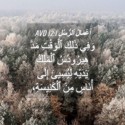 Picture 04 - أَعْمَالُ ٱلرُّسُلِ 12:1 AVD - وَفِي ذَلِكَ ٱلْوَقْتِ - Bible Verse Picture