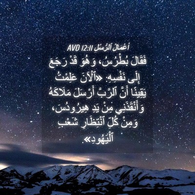 Picture 04 - أَعْمَالُ ٱلرُّسُلِ 12:11 AVD - فَقَالَ بُطْرُسُ، وَهُوَ - Bible Verse Picture