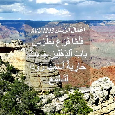 Picture 04 - أَعْمَالُ ٱلرُّسُلِ 12:13 AVD - فَلَمَّا قَرَعَ بُطْرُسُ - Bible Verse Picture