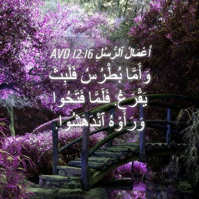 Picture 04 - أَعْمَالُ ٱلرُّسُلِ 12:16 AVD - وَأَمَّا بُطْرُسُ - Bible Verse Picture
