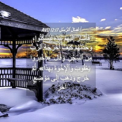 Picture 04 - أَعْمَالُ ٱلرُّسُلِ 12:17 AVD - فَأَشَارَ إِلَيْهِمْ - Bible Verse Picture