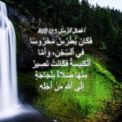 Picture 04 - أَعْمَالُ ٱلرُّسُلِ 12:5 AVD - فَكَانَ بُطْرُسُ - Bible Verse Picture
