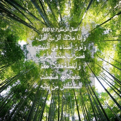 Picture 04 - أَعْمَالُ ٱلرُّسُلِ 12:7 AVD - وَإِذَا مَلَاكُ ٱلرَّبِّ - Bible Verse Picture