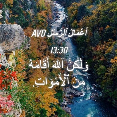 Picture 04 - أَعْمَالُ ٱلرُّسُلِ 13:30 AVD - وَلَكِنَّ ٱللهَ أَقَامَهُ - Bible Verse Picture