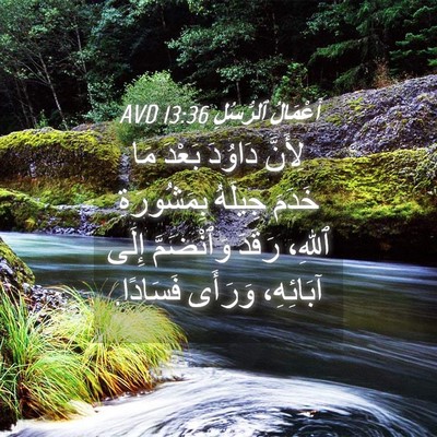 Picture 04 - أَعْمَالُ ٱلرُّسُلِ 13:36 AVD - لِأَنَّ دَاوُدَ بَعْدَ مَا - Bible Verse Picture