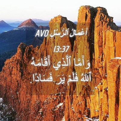 Picture 04 - أَعْمَالُ ٱلرُّسُلِ 13:37 AVD - وَأَمَّا ٱلَّذِي - Bible Verse Picture