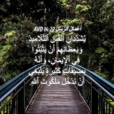 Picture 04 - أَعْمَالُ ٱلرُّسُلِ 14:22 AVD - يُشَدِّدَانِ أَنْفُسَ - Bible Verse Picture