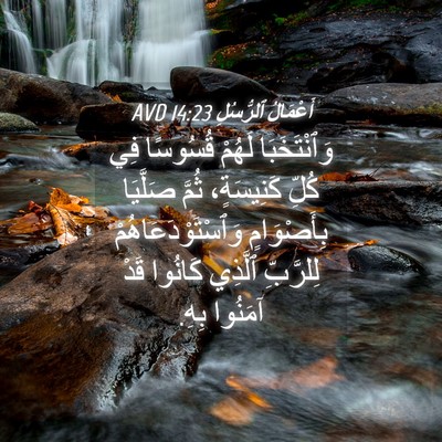 Picture 04 - أَعْمَالُ ٱلرُّسُلِ 14:23 AVD - وَٱنْتَخَبَا لَهُمْ - Bible Verse Picture