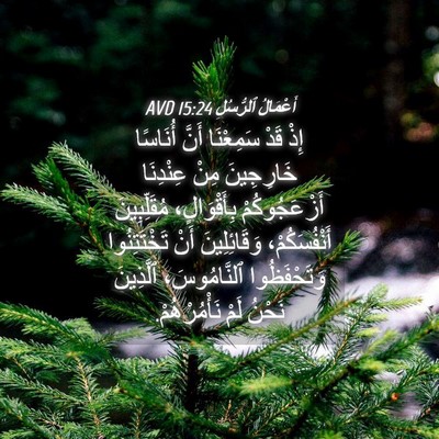 Picture 04 - أَعْمَالُ ٱلرُّسُلِ 15:24 AVD - إِذْ قَدْ سَمِعْنَا أَنَّ - Bible Verse Picture