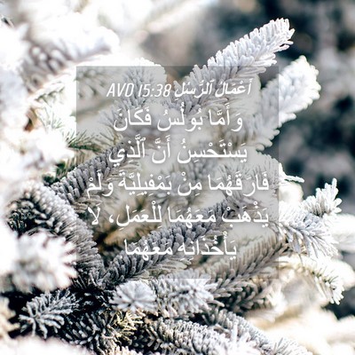 Picture 04 - أَعْمَالُ ٱلرُّسُلِ 15:38 AVD - وَأَمَّا بُولُسُ فَكَانَ - Bible Verse Picture