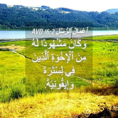 Picture 04 - أَعْمَالُ ٱلرُّسُلِ 16:2 AVD - وَكَانَ مَشْهُودًا لَهُ - Bible Verse Picture