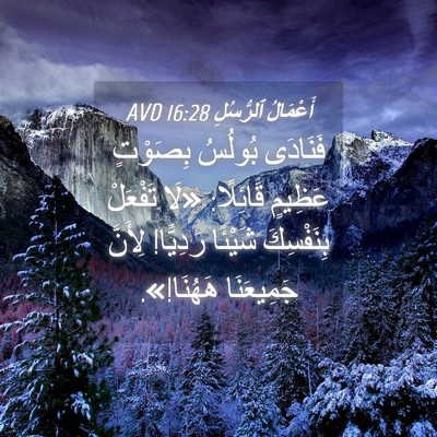 Picture 04 - أَعْمَالُ ٱلرُّسُلِ 16:28 AVD - فَنَادَى بُولُسُ بِصَوْتٍ - Bible Verse Picture
