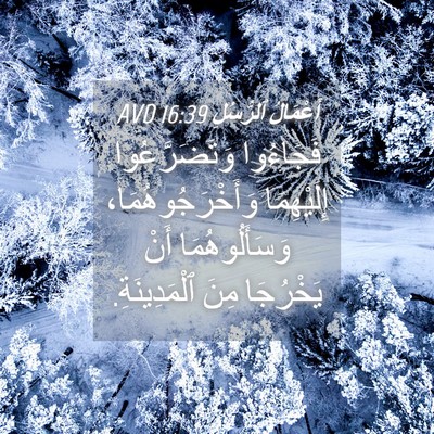 Picture 04 - أَعْمَالُ ٱلرُّسُلِ 16:39 AVD - فَجَاءُوا وَتَضَرَّعُوا - Bible Verse Picture