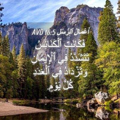 Picture 04 - أَعْمَالُ ٱلرُّسُلِ 16:5 AVD - فَكَانَتِ ٱلْكَنَائِسُ - Bible Verse Picture
