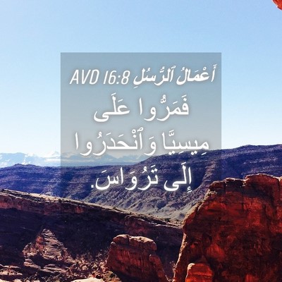 Picture 04 - أَعْمَالُ ٱلرُّسُلِ 16:8 AVD - فَمَرُّوا عَلَى مِيسِيَّا - Bible Verse Picture