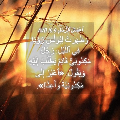 Picture 04 - أَعْمَالُ ٱلرُّسُلِ 16:9 AVD - وَظَهَرَتْ لِبُولُسَ - Bible Verse Picture