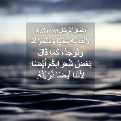 Picture 04 - أَعْمَالُ ٱلرُّسُلِ 17:28 AVD - لِأَنَّنَا بِهِ نَحْيَا - Bible Verse Picture