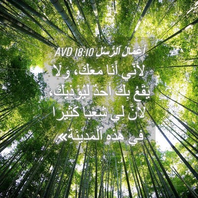 Picture 04 - أَعْمَالُ ٱلرُّسُلِ 18:10 AVD - لِأَنِّي أَنَا مَعَكَ، - Bible Verse Picture