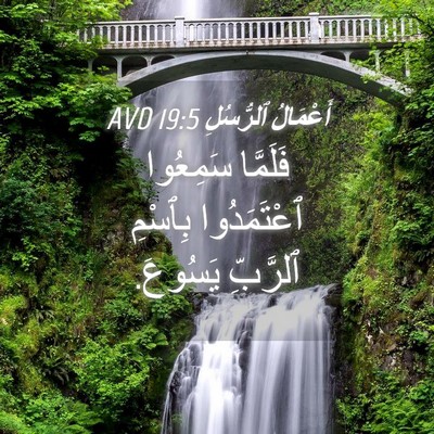 Picture 04 - أَعْمَالُ ٱلرُّسُلِ 19:5 AVD - فَلَمَّا سَمِعُوا - Bible Verse Picture