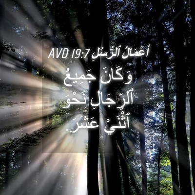 Picture 04 - أَعْمَالُ ٱلرُّسُلِ 19:7 AVD - وَكَانَ جَمِيعُ - Bible Verse Picture
