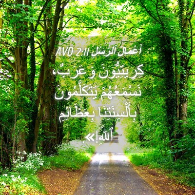 Picture 04 - أَعْمَالُ ٱلرُّسُلِ 2:11 AVD - كِرِيتِيُّونَ وَعَرَبٌ، - Bible Verse Picture