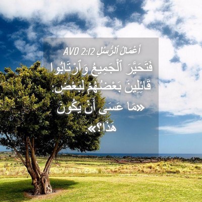 Picture 04 - أَعْمَالُ ٱلرُّسُلِ 2:12 AVD - فَتَحَيَّرَ ٱلْجَمِيعُ - Bible Verse Picture