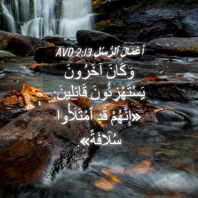 Picture 04 - أَعْمَالُ ٱلرُّسُلِ 2:13 AVD - وَكَانَ آخَرُونَ - Bible Verse Picture