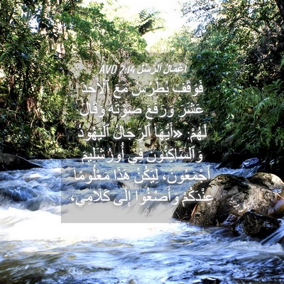 Picture 04 - أَعْمَالُ ٱلرُّسُلِ 2:14 AVD - فَوَقَفَ بُطْرُسُ مَعَ - Bible Verse Picture