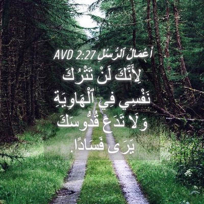 Picture 04 - أَعْمَالُ ٱلرُّسُلِ 2:27 AVD - لِأَنَّكَ لَنْ تَتْرُكَ - Bible Verse Picture