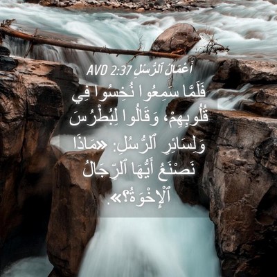 Picture 04 - أَعْمَالُ ٱلرُّسُلِ 2:37 AVD - فَلَمَّا سَمِعُوا - Bible Verse Picture