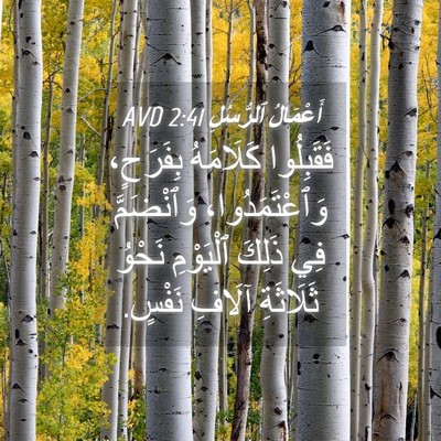 Picture 04 - أَعْمَالُ ٱلرُّسُلِ 2:41 AVD - فَقَبِلُوا كَلَامَهُ - Bible Verse Picture