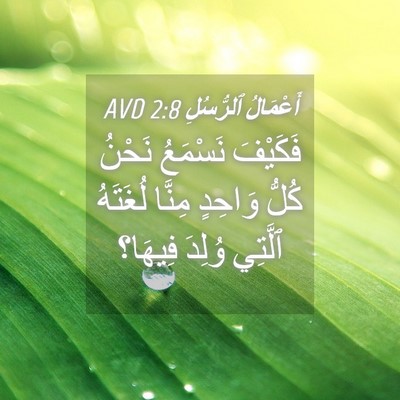 Picture 04 - أَعْمَالُ ٱلرُّسُلِ 2:8 AVD - فَكَيْفَ نَسْمَعُ نَحْنُ - Bible Verse Picture
