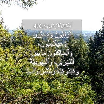 Picture 04 - أَعْمَالُ ٱلرُّسُلِ 2:9 AVD - فَرْتِيُّونَ - Bible Verse Picture