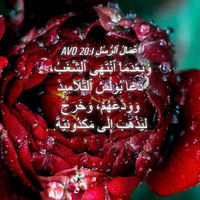 Picture 04 - أَعْمَالُ ٱلرُّسُلِ 20:1 AVD - وَبَعْدَمَا ٱنْتَهَى - Bible Verse Picture