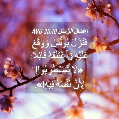 Picture 04 - أَعْمَالُ ٱلرُّسُلِ 20:10 AVD - فَنَزَلَ بُولُسُ وَوَقَعَ - Bible Verse Picture