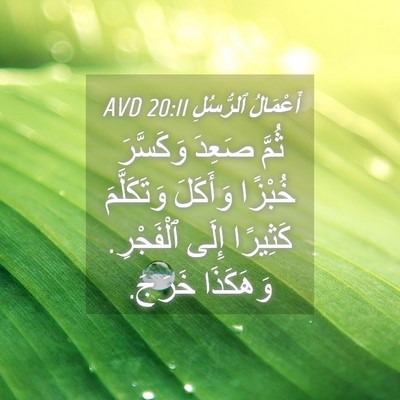 Picture 04 - أَعْمَالُ ٱلرُّسُلِ 20:11 AVD - ثُمَّ صَعِدَ وَكَسَّرَ - Bible Verse Picture