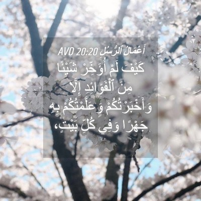 Picture 04 - أَعْمَالُ ٱلرُّسُلِ 20:20 AVD - كَيْفَ لَمْ أُؤَخِّرْ - Bible Verse Picture