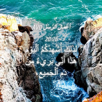 Picture 04 - أَعْمَالُ ٱلرُّسُلِ 20:26 AVD - لِذَلِكَ أُشْهِدُكُمُ - Bible Verse Picture