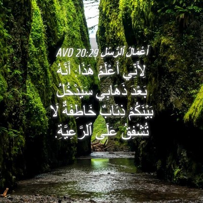 Picture 04 - أَعْمَالُ ٱلرُّسُلِ 20:29 AVD - لِأَنِّي أَعْلَمُ هَذَا: - Bible Verse Picture
