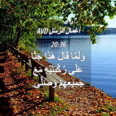 Picture 04 - أَعْمَالُ ٱلرُّسُلِ 20:36 AVD - وَلَمَّا قَالَ هَذَا جَثَا - Bible Verse Picture