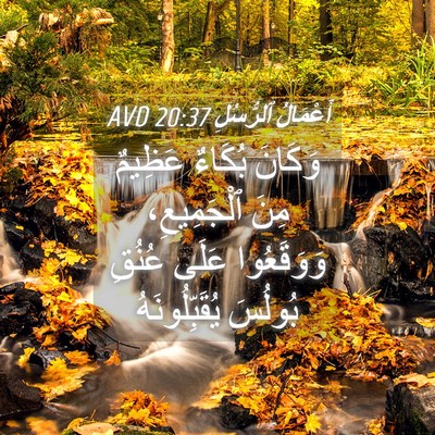 Picture 04 - أَعْمَالُ ٱلرُّسُلِ 20:37 AVD - وَكَانَ بُكَاءٌ عَظِيمٌ - Bible Verse Picture