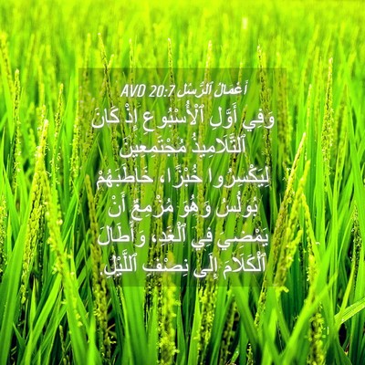 Picture 04 - أَعْمَالُ ٱلرُّسُلِ 20:7 AVD - وَفِي أَوَّلِ - Bible Verse Picture