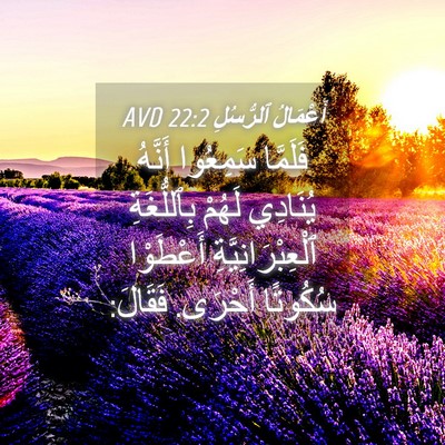 Picture 04 - أَعْمَالُ ٱلرُّسُلِ 22:2 AVD - فَلَمَّا سَمِعُوا أَنَّهُ - Bible Verse Picture