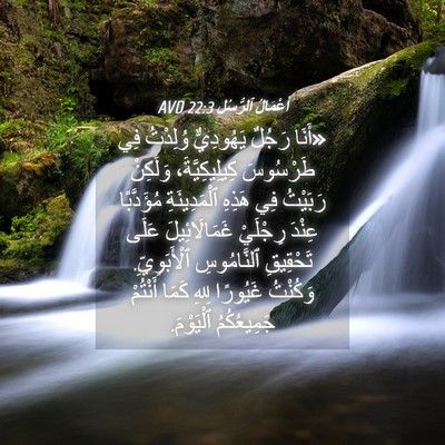 Picture 04 - أَعْمَالُ ٱلرُّسُلِ 22:3 AVD - «أَنَا رَجُلٌ يَهُودِيٌّ - Bible Verse Picture