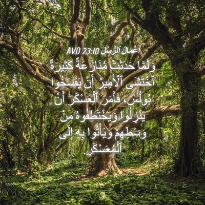Picture 04 - أَعْمَالُ ٱلرُّسُلِ 23:10 AVD - وَلَمَّا حَدَثَتْ - Bible Verse Picture