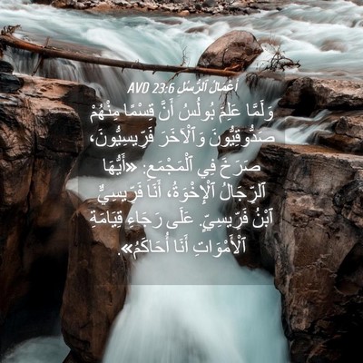 Picture 04 - أَعْمَالُ ٱلرُّسُلِ 23:6 AVD - وَلَمَّا عَلِمَ بُولُسُ - Bible Verse Picture