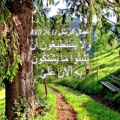Picture 04 - أَعْمَالُ ٱلرُّسُلِ 24:13 AVD - وَلَا يَسْتَطِيعُونَ أَنْ - Bible Verse Picture