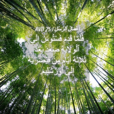 Picture 04 - أَعْمَالُ ٱلرُّسُلِ 25:1 AVD - فَلَمَّا قَدِمَ فَسْتُوسُ - Bible Verse Picture
